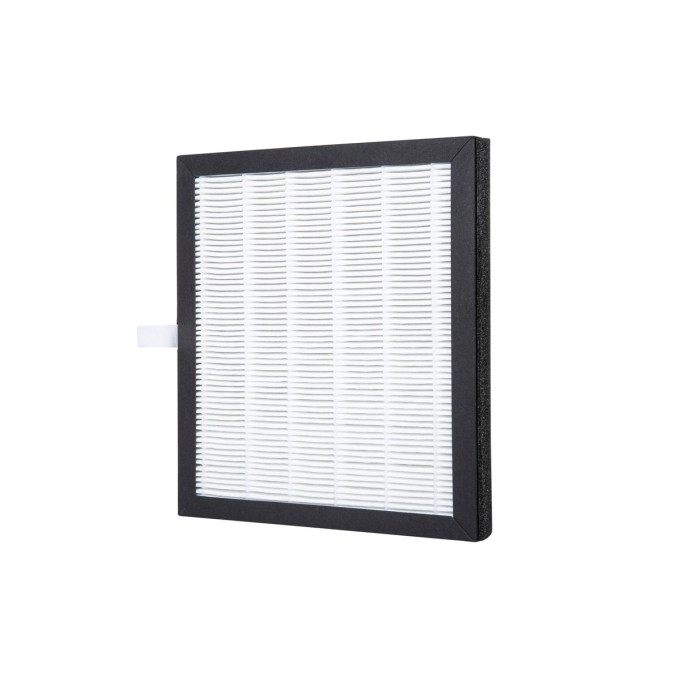 Gecombineerd HEPA en actief koolfilter voor AERIUM DH20G Ionic Wi-Fi